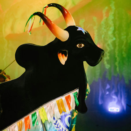 O Norte celebra: tradição e emoção em Parintins