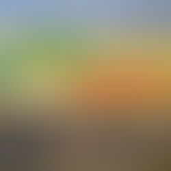 Hamburgueria na lateral do Shopping Cidade São Paulo conquista a Avenida Paulista