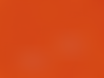 Contracapa do livro Uma Duas de Eliane Brum