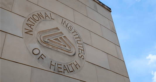 Stone wall with National Institutes of Health logo and text. Beige color contrasts with clear blue sky, conveying institutional authority.