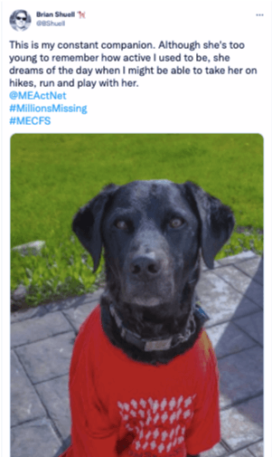 Black dog wearing a red shirt sits on a stone path. Background is grass. Associated text discusses companionship and dreams of hiking.