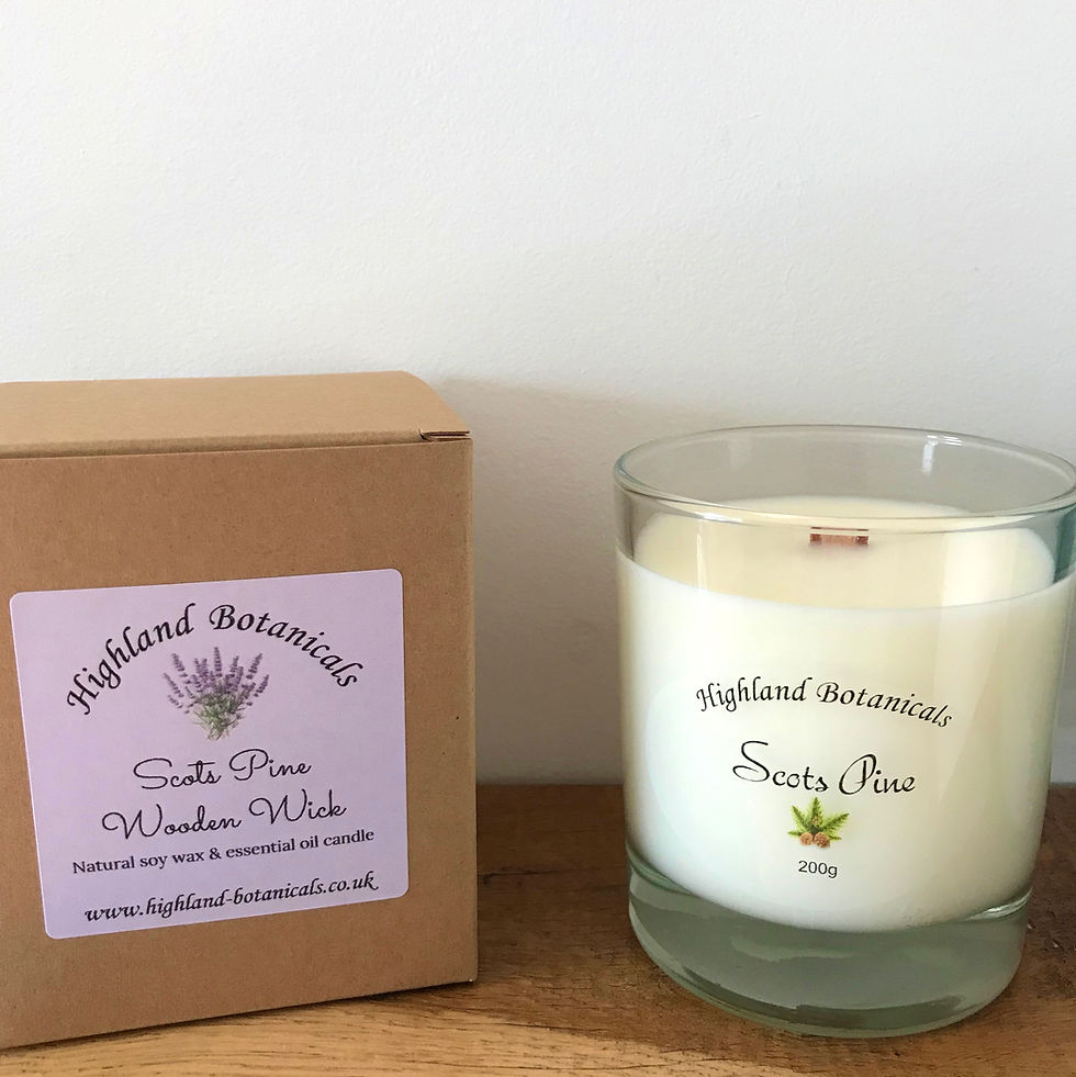 Signature Scots Pine Essential Oil Candle