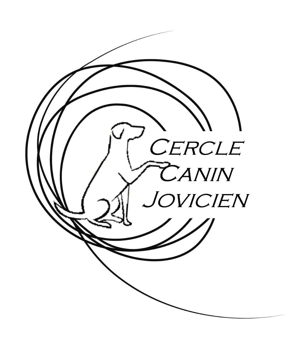 dressage chien joeuf