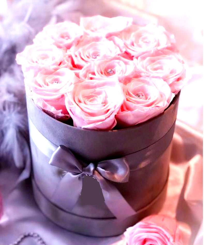Thumbnail: Princess Rose