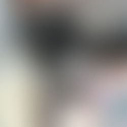 5 Afecções Ortopédicas mais comuns em Pets: Veja tudo o que precisa saber!