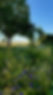 FullSizeRender.jpeg