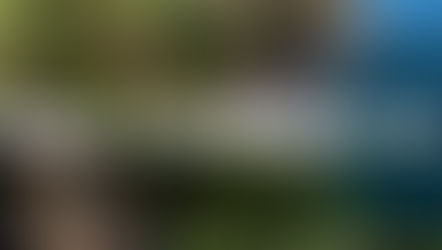 Linha de Apoio à Qualificação da Oferta 2017 - 2018
