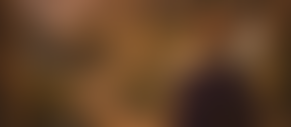 Bunz, The World Hopper