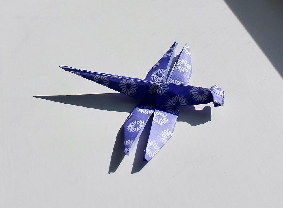 Dragonfly