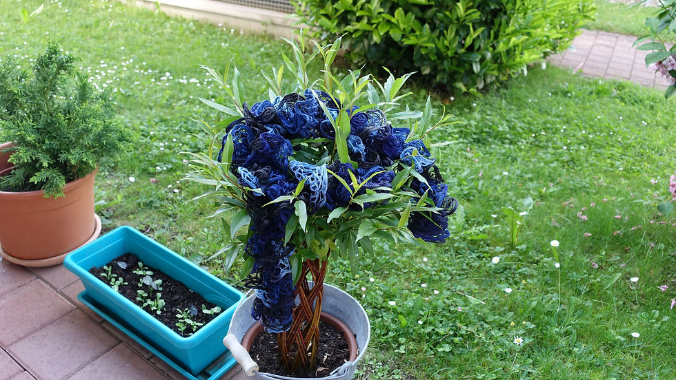 Himmelblau