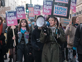 The Thin End of the Wedge: How Trans Rights Have Emerged as a Keystone in the Feminist Politics on Bodily Autonomy