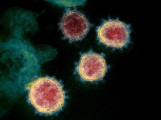 Unfiltered, Candid, and Interdisciplinary: Reflections on the ‘Human values and global response in the Covid-19 pandemic’ 2022 Tanner Lectures
