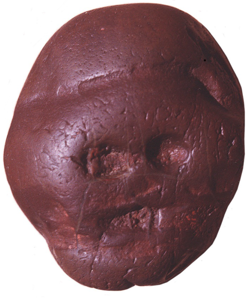 This pebble was discovered in Makapansgat, South Africa, an Australopithecus site dated to three million years ago. The mineral matches a site several kilometres away where it was found, transported and kept. It is naturally worn and not sculpted.
