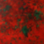 Fig 2. Red Studio with Money Plant (Gabriella Kardos 2014, oil on linen, 170 x 170cm).