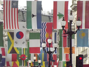 Heraldic Politics: Why Flags Still Matter