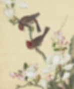 Fig 1. Immortal Blossoms in an Everlasting Spring (Giuseppe Castiglione c 1723 (album leaf), ink and colours on silk, 33.3 x 27.8cm). National Palace Museum, Taipei. Wikimedia Commons. <https://commons.wikimedia.org/wiki/Immortal_Blossoms_in_an_Everlasting_Spring#/media/File:Xian’e_Changchun_Album_13.jpg>.