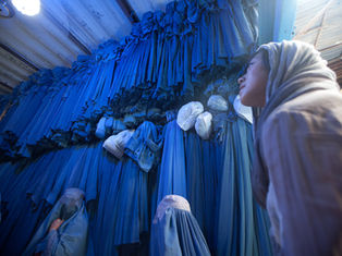 Afghan Women’s Rights to Education and Health Care in a Culture of Impunity