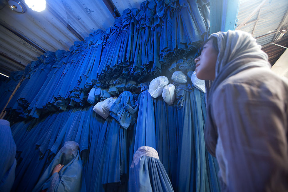 Afghan Women’s Rights to Education and Health Care in a Culture of Impunity