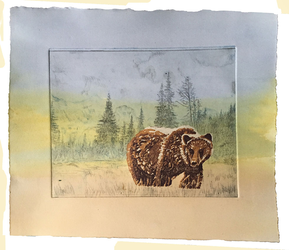 7 Bears