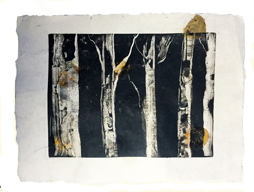 Montype Aspens