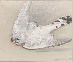 Nathan Oliveria, "Untitled (Bird In Flight)"