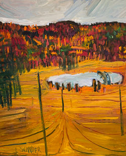 Lawrence B. Salander