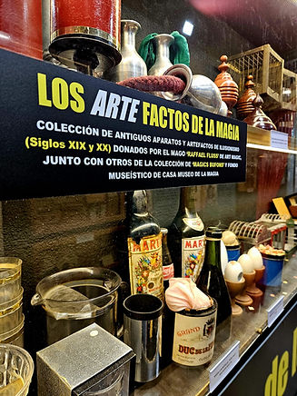 WhatsApp Image 2026-03-15 at 13.51.41 (4).jpeg