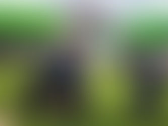 제 5회 대한장애인양궁협회장배 전국장애인양궁체전