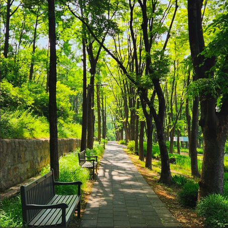 빛나사 국제교류단 2월 정기모임