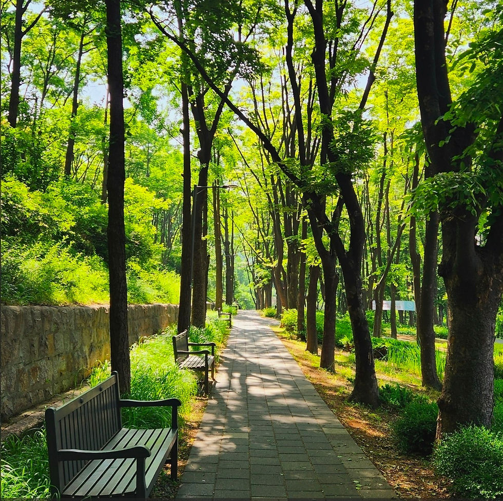 빛나사 국제교류단 2월 정기모임