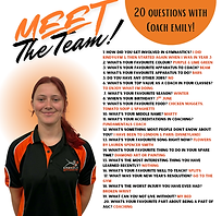 Brown Modern Meet The Team Instagram Post (1).png