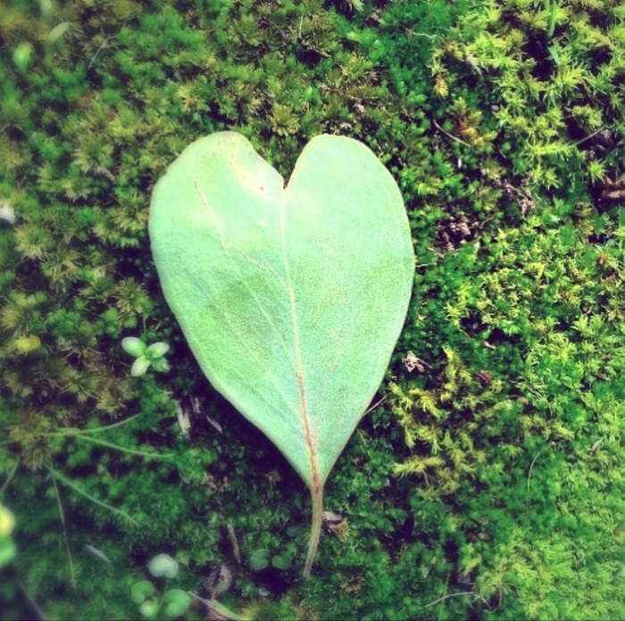 ALL YOU NEED IS LOVE