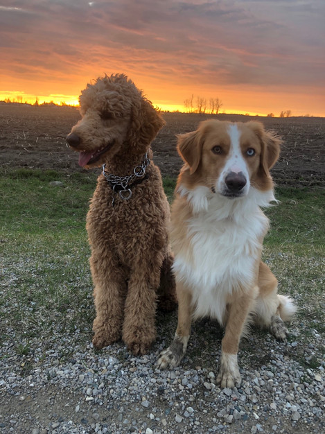 Memphis & his first girlfriend, Maisie