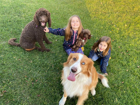 Guardian Homes Explained: Is It Right for Your Family?