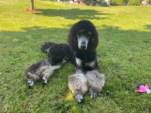 Norman @ 9 months