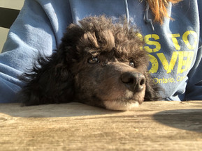 IMG_7313.jpeg