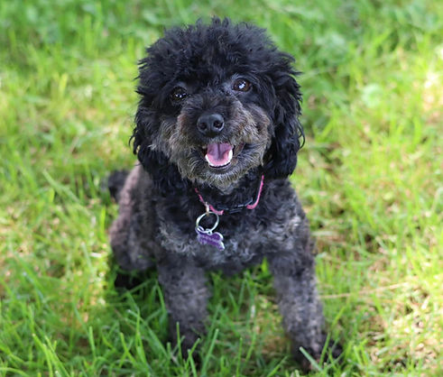 bella7.jpg