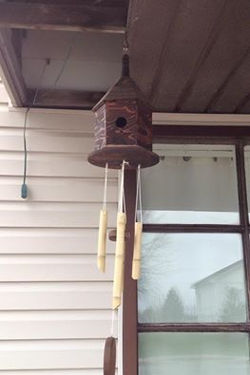 13043489_10154068130925833_5321053946161636154_n