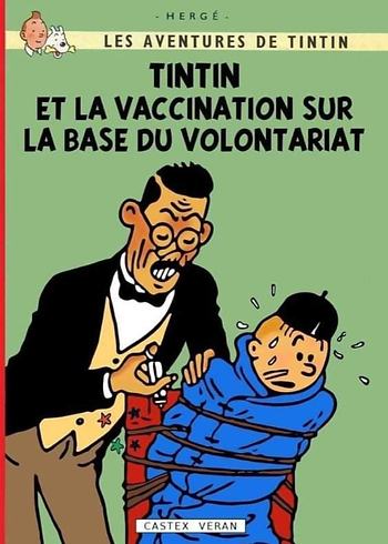 Tintin-vax-volontaire.png