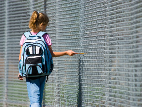 Developing Topic: Rolling Gate Building Code Adoption