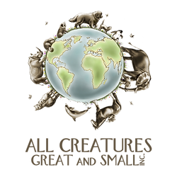 ACGS Inc. Square Transparent.png