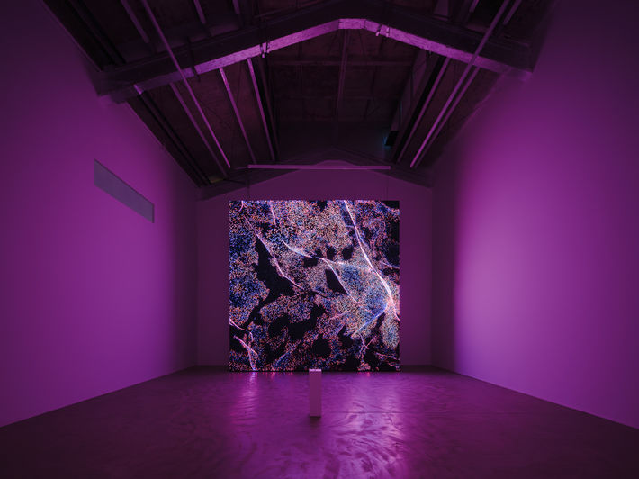 MZ Beijing Exhibition-19.jpg