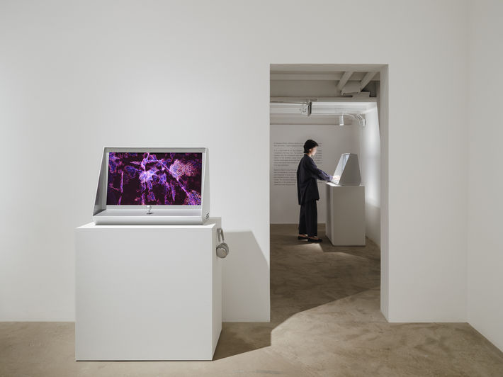 MZ Beijing Exhibition-22.jpg