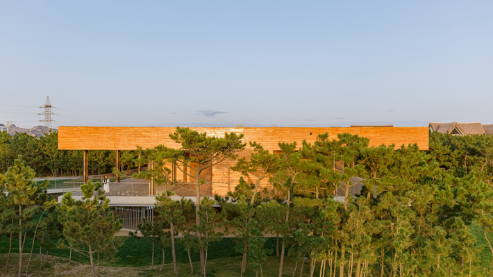 duneartmuseum-14.png
