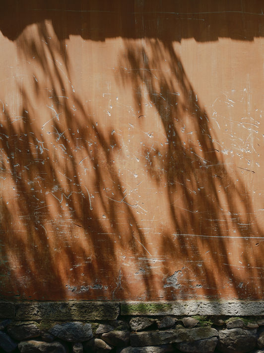 Walls of Taizhou Temples-3.jpg