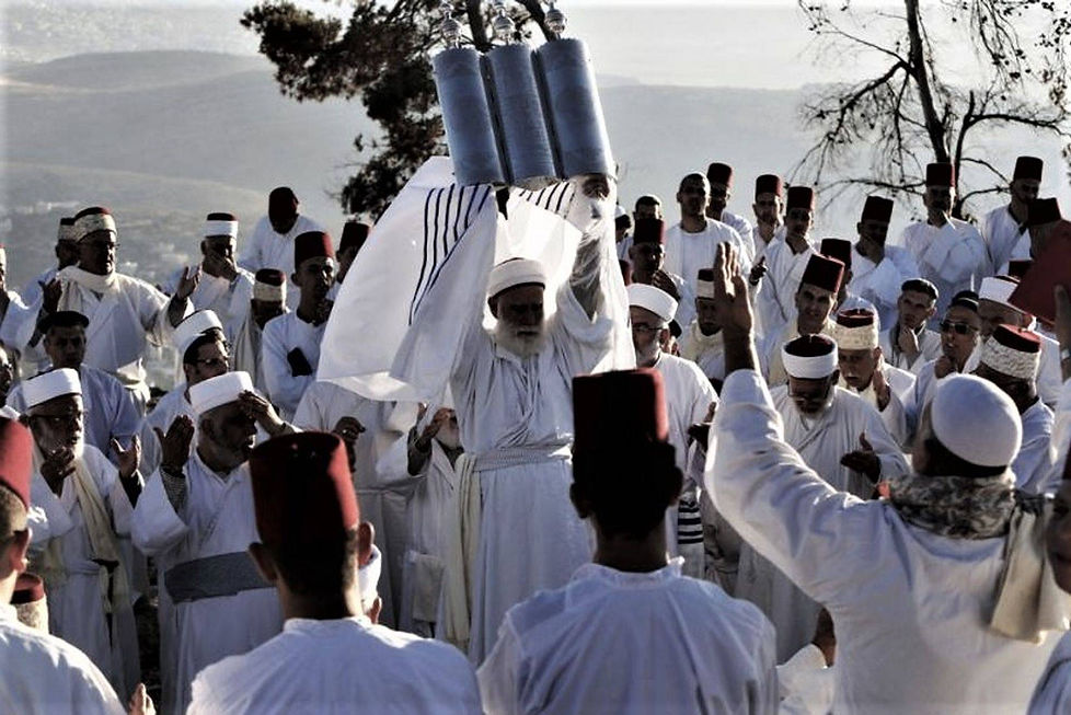 torah parade