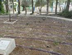 irrigation of waste water.