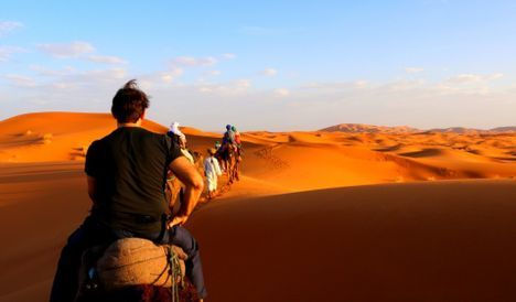sahara camel train.