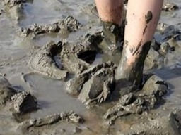 mud