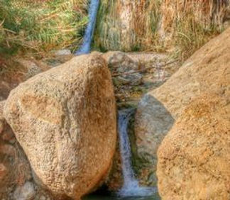 Streams-in-the-desert-1024x731.jpg